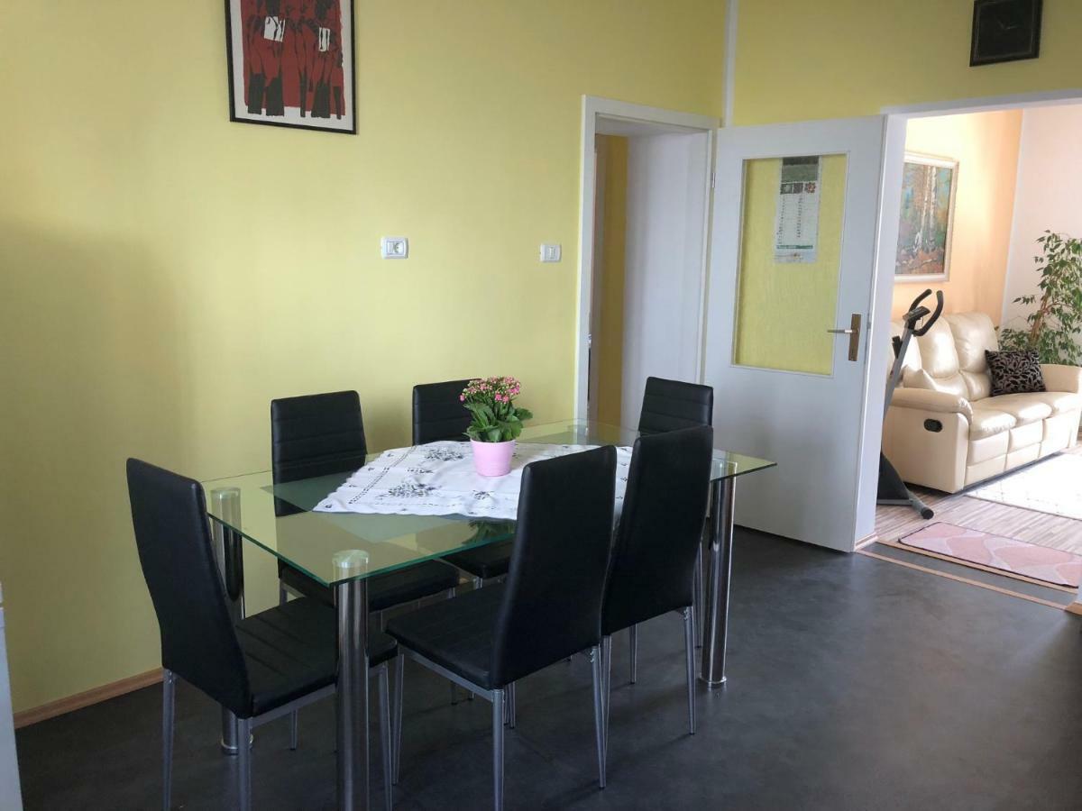 Apartma Mahnic Postojna Exterior foto